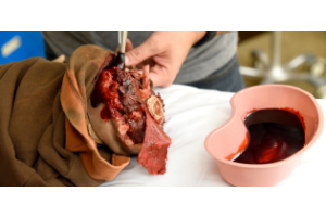 simulated blood