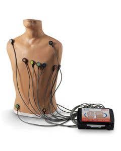 Nasco Life/form® 15-Lead ECG Placement Trainer